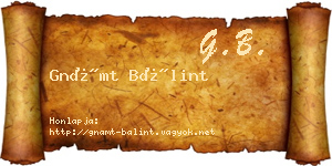 Gnámt Bálint névjegykártya